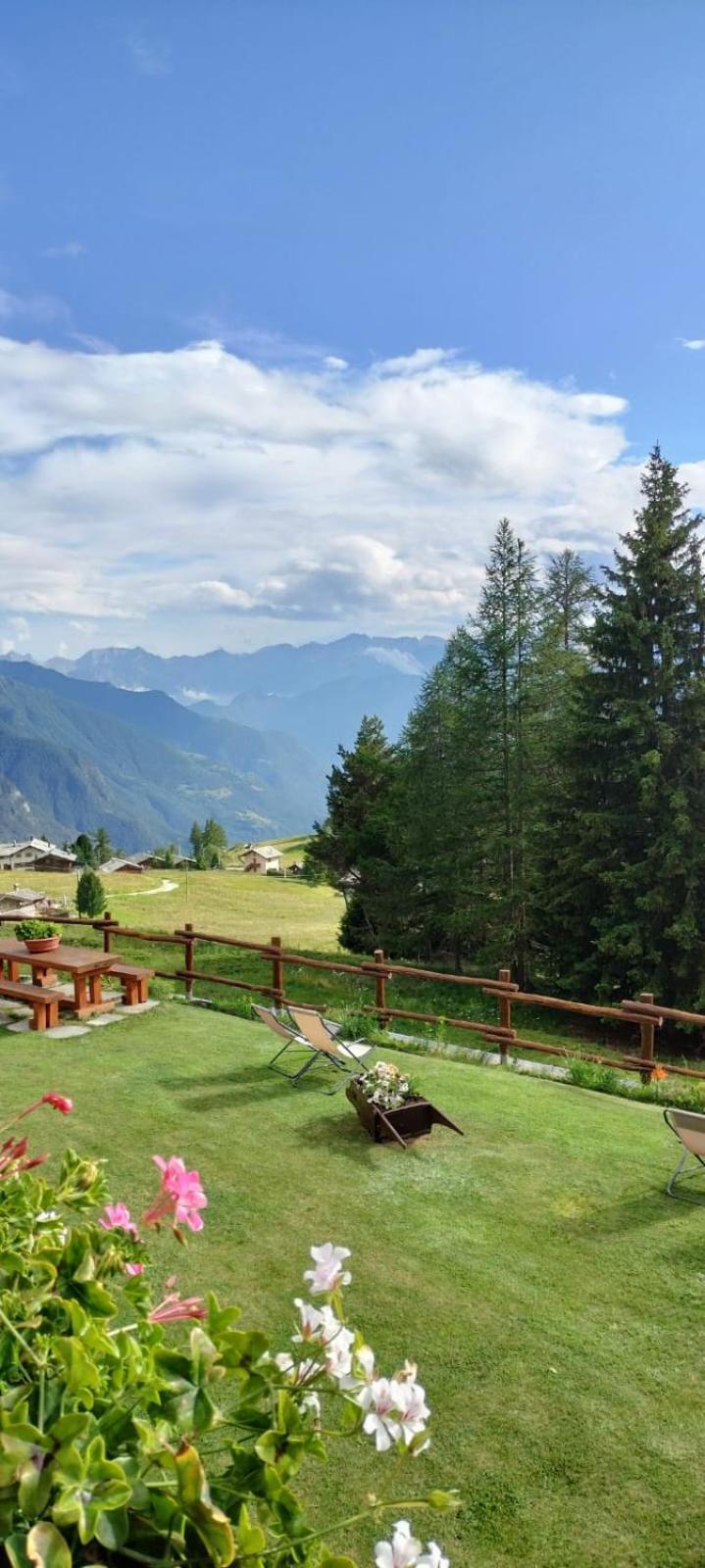 Le Coin Des Melezes - Nature & Trek - Camere In Baita Di Montagna Brusson Eksteriør billede
