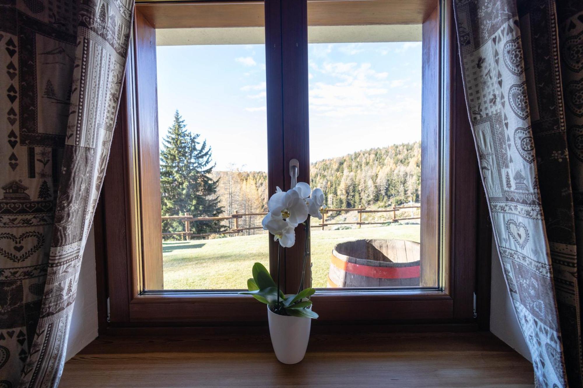 Le Coin Des Melezes - Nature & Trek - Camere In Baita Di Montagna Brusson Eksteriør billede