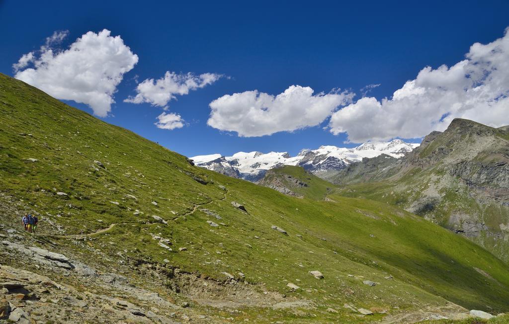 Le Coin Des Melezes - Nature & Trek - Camere In Baita Di Montagna Brusson Eksteriør billede