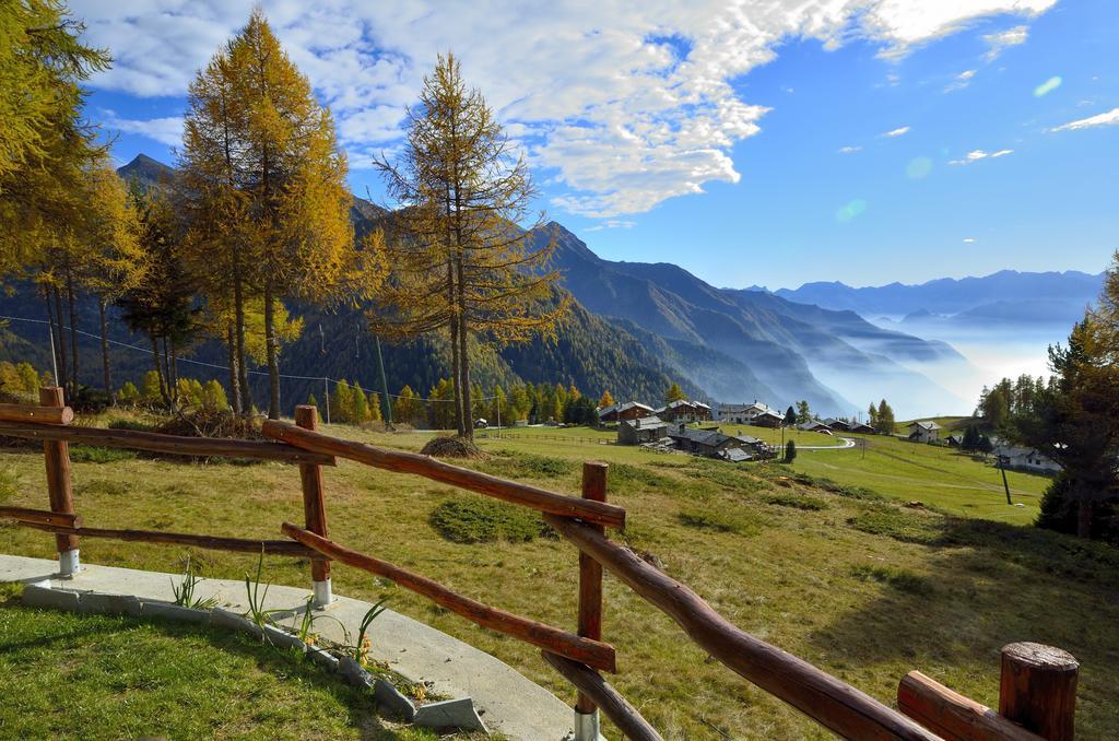 Le Coin Des Melezes - Nature & Trek - Camere In Baita Di Montagna Brusson Eksteriør billede