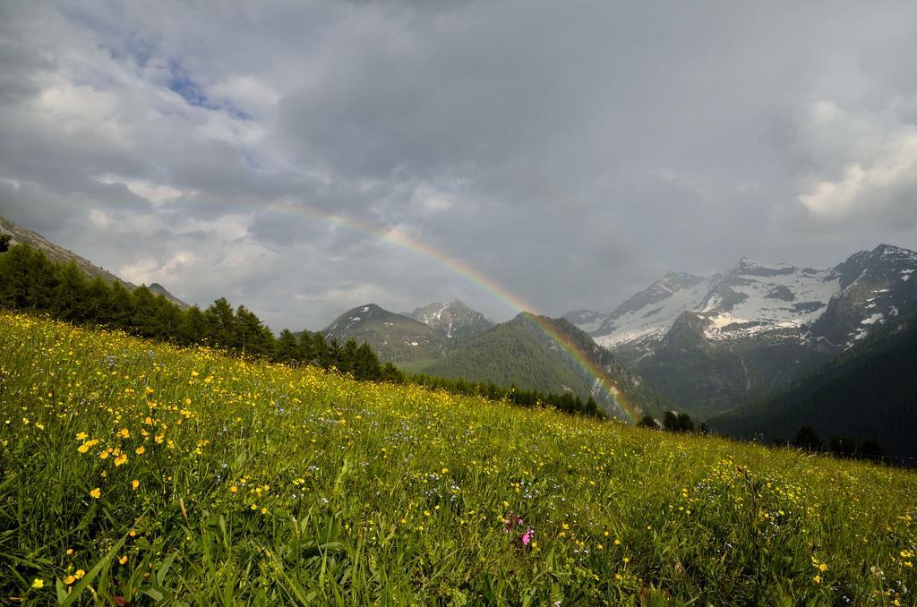 Le Coin Des Melezes - Nature & Trek - Camere In Baita Di Montagna Brusson Eksteriør billede