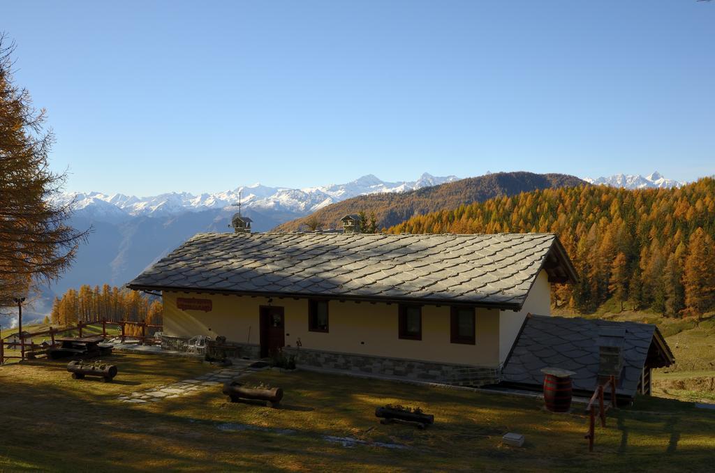 Le Coin Des Melezes - Nature & Trek - Camere In Baita Di Montagna Brusson Eksteriør billede