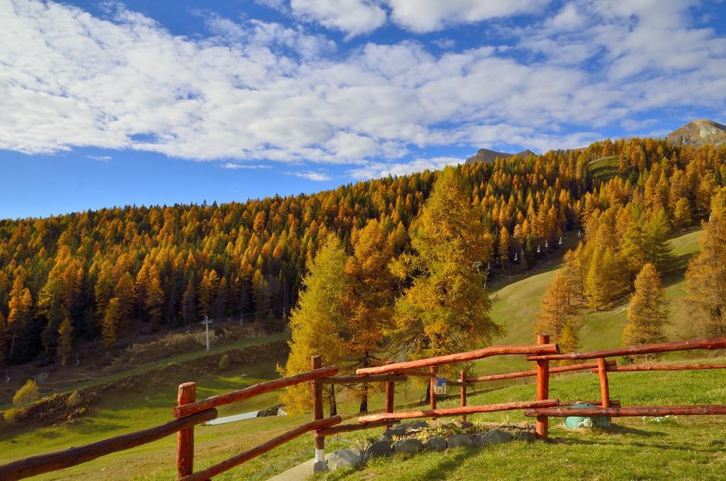 Le Coin Des Melezes - Nature & Trek - Camere In Baita Di Montagna Brusson Eksteriør billede