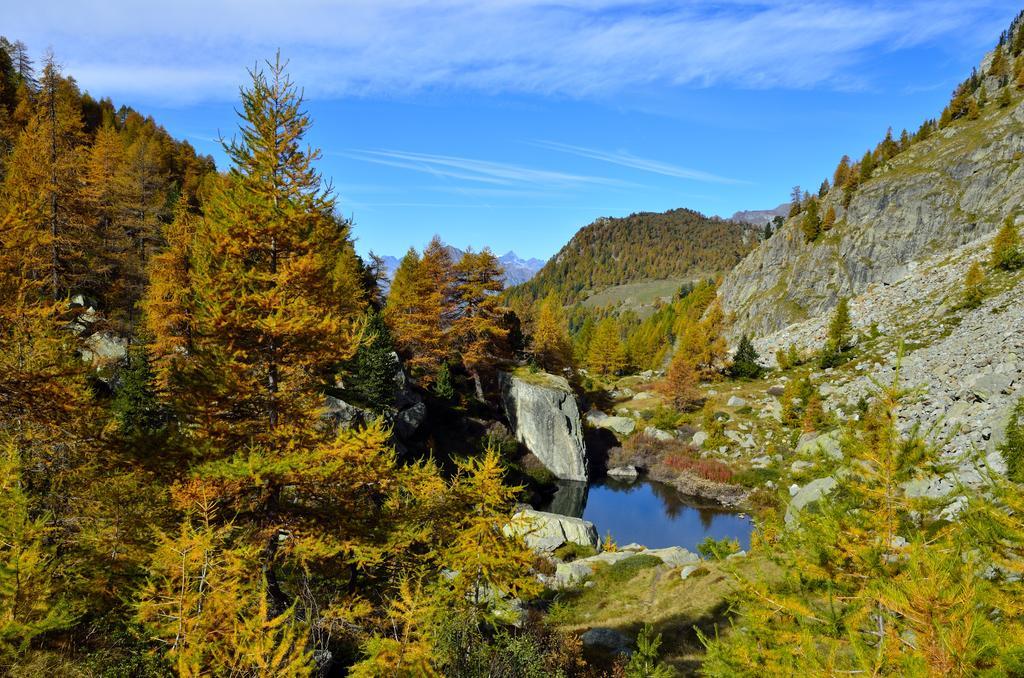 Le Coin Des Melezes - Nature & Trek - Camere In Baita Di Montagna Brusson Eksteriør billede